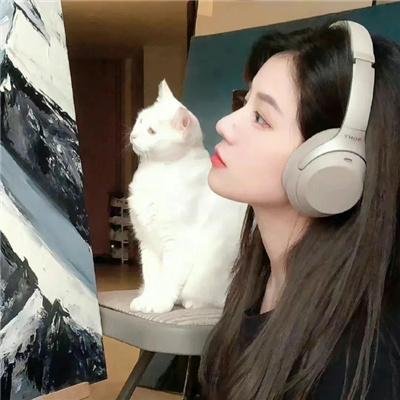 我的丈夫是废柴 在线观看